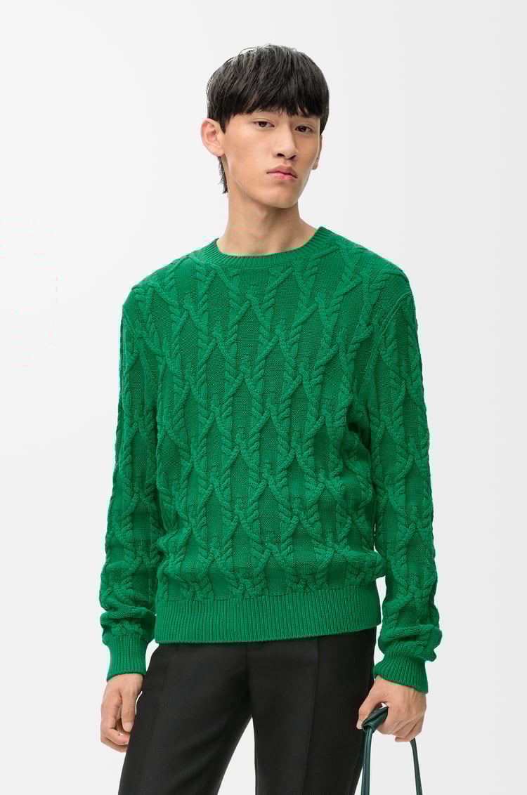 LOEWE Sweater in cotton Dark Green