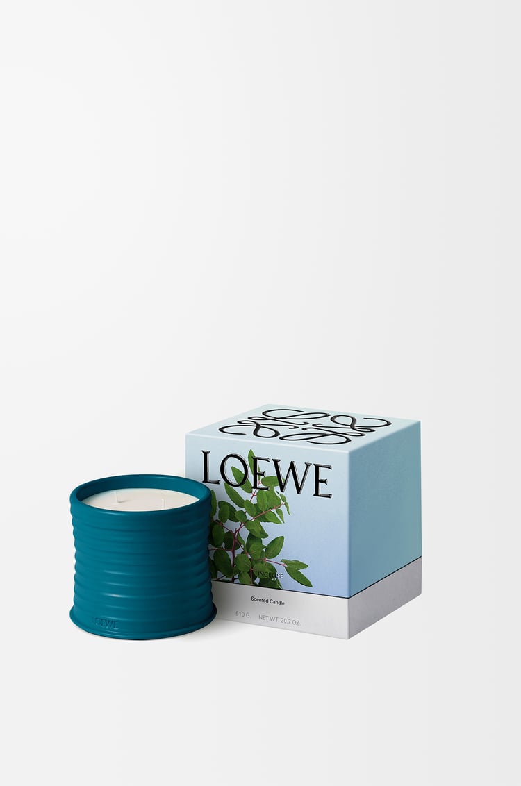 LOEWE Medium Incense candle Dark Blue
