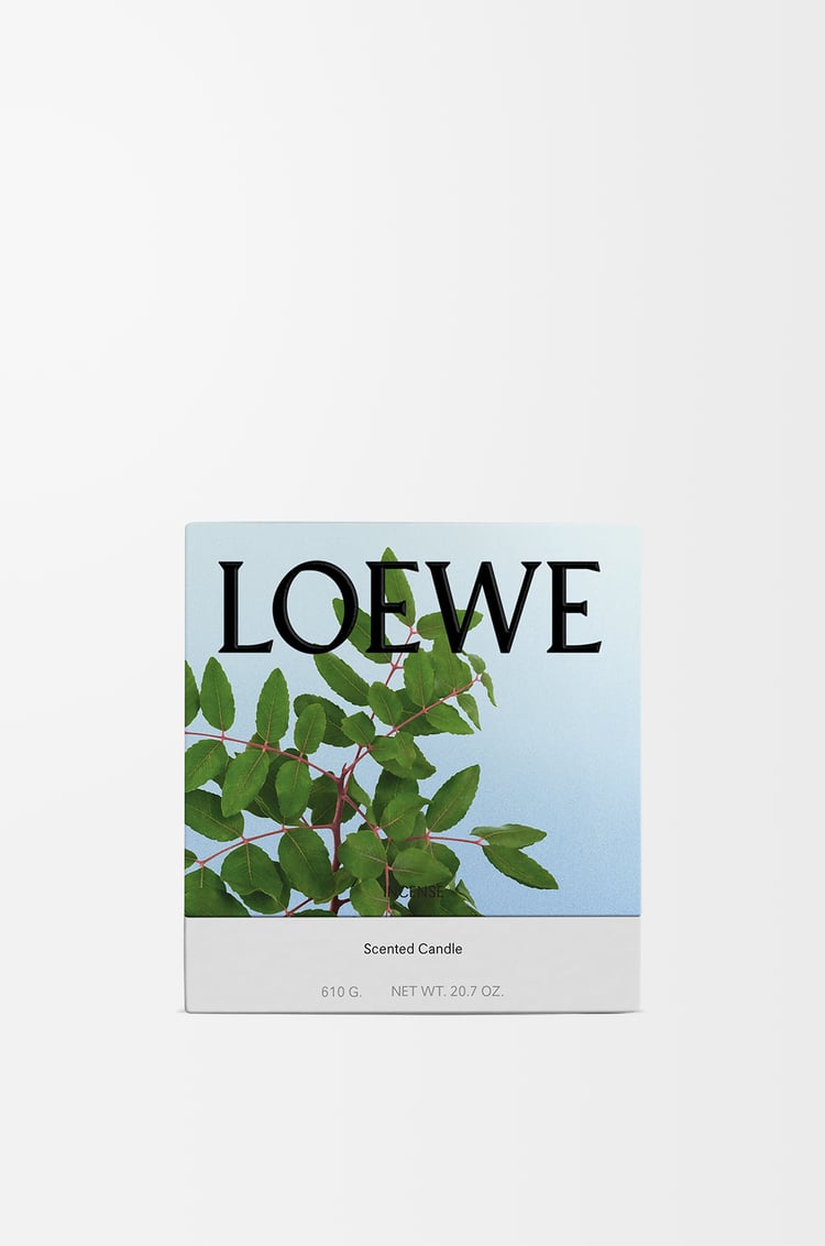 LOEWE Medium Incense candle Dark Blue