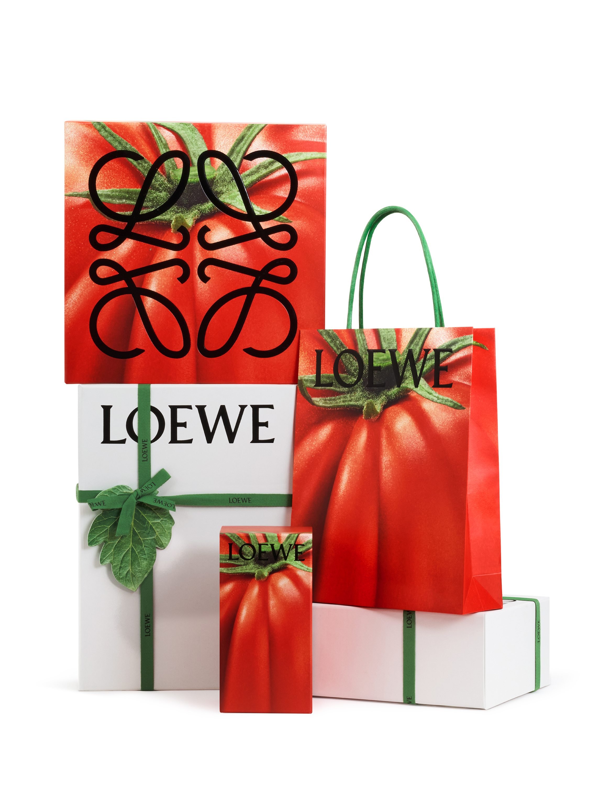 packaging LOEWE